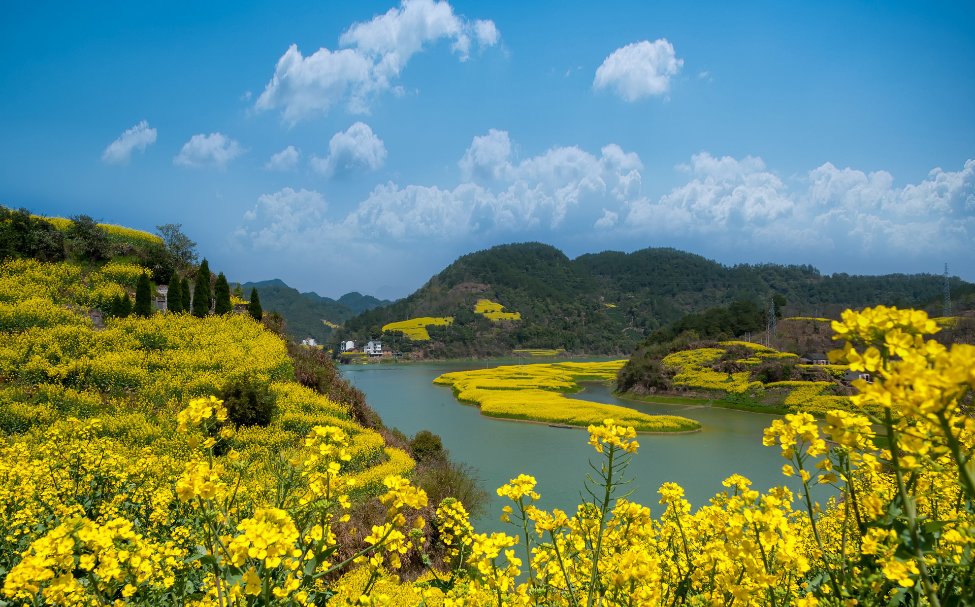 优质水源 优质水源