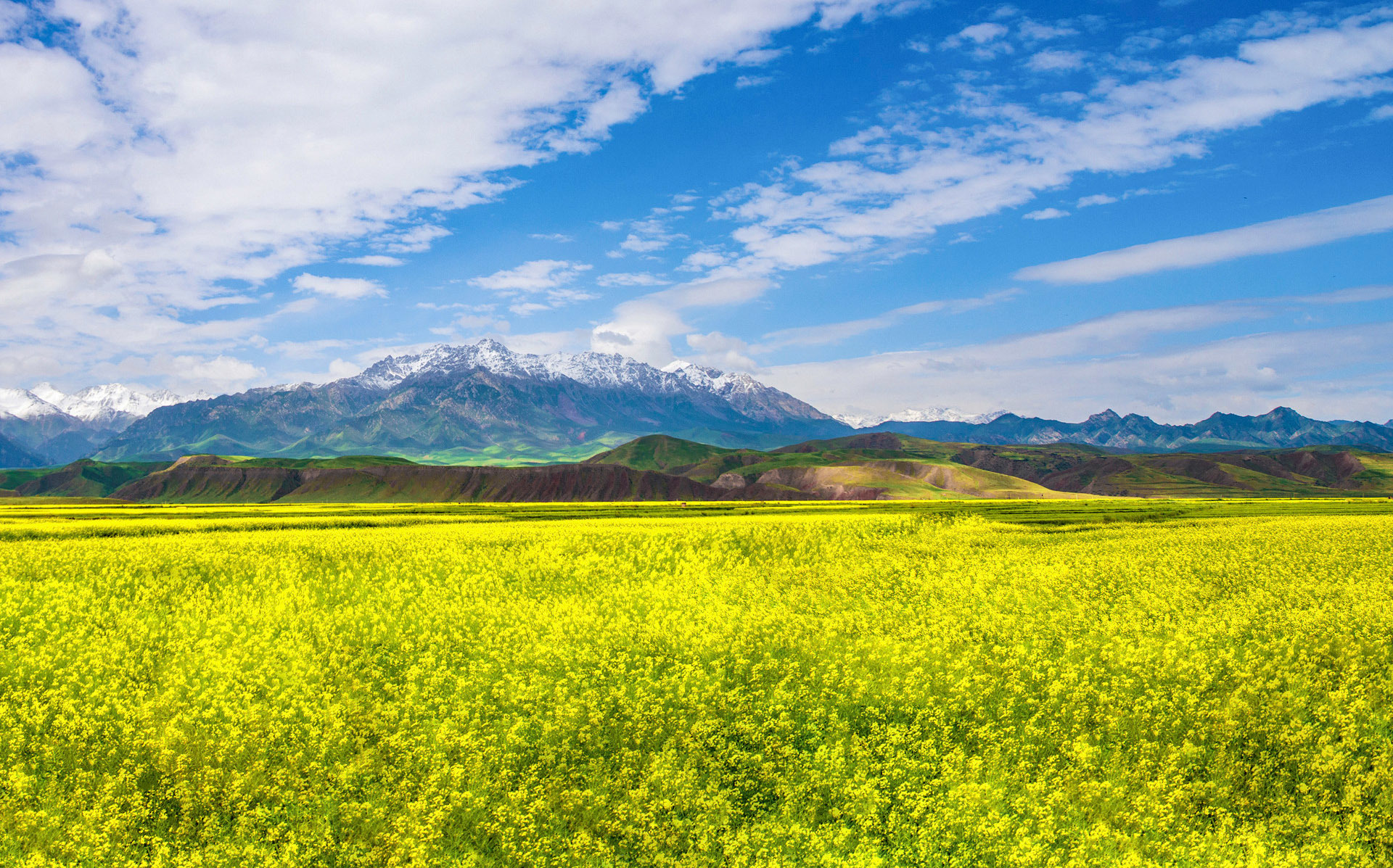 农耕方式 — 延续传统播种 农耕方式 — 延续传统播种