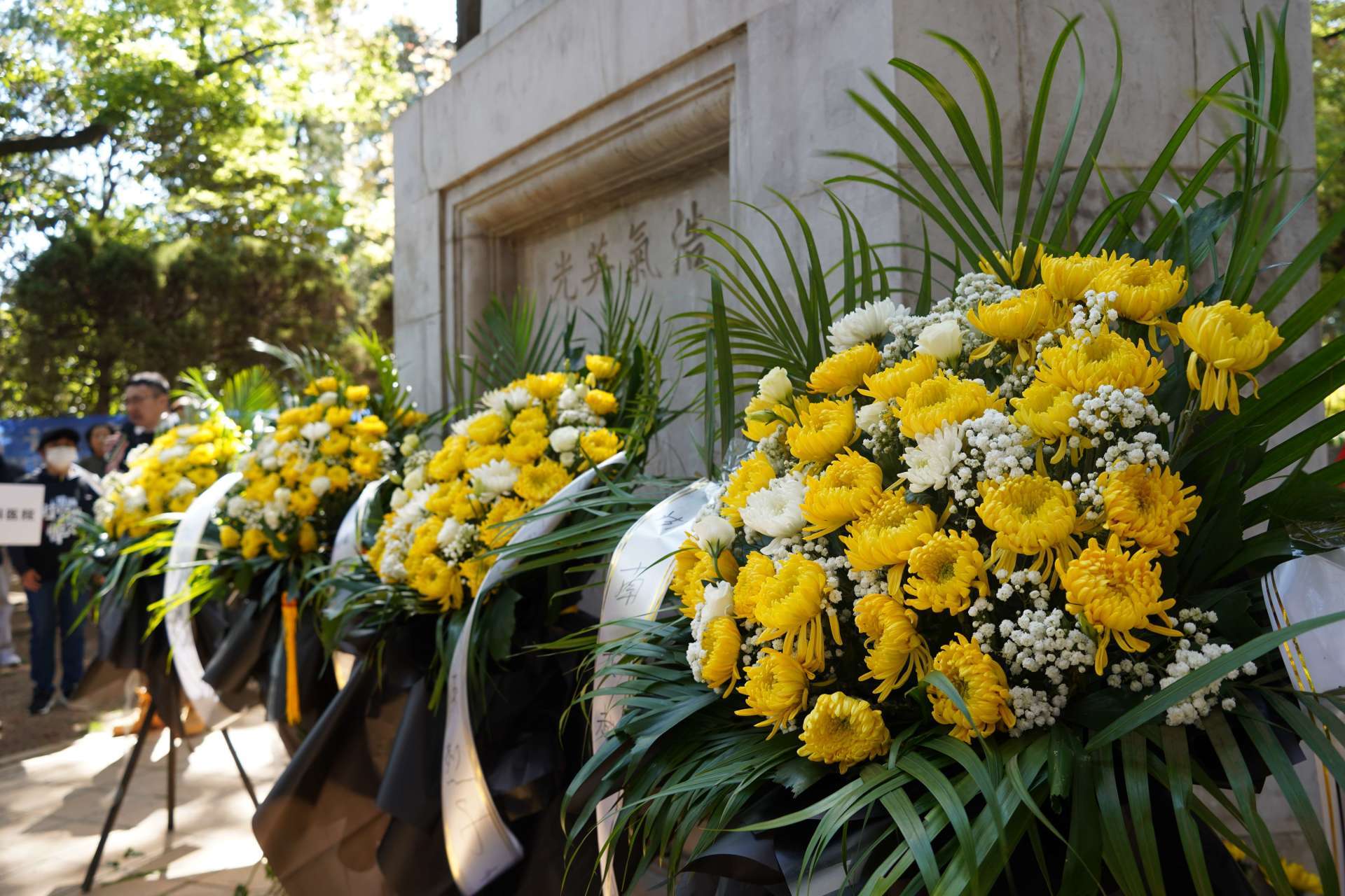 清明节 | 跨越时空的悼念——致敬抗战阵亡将士！
