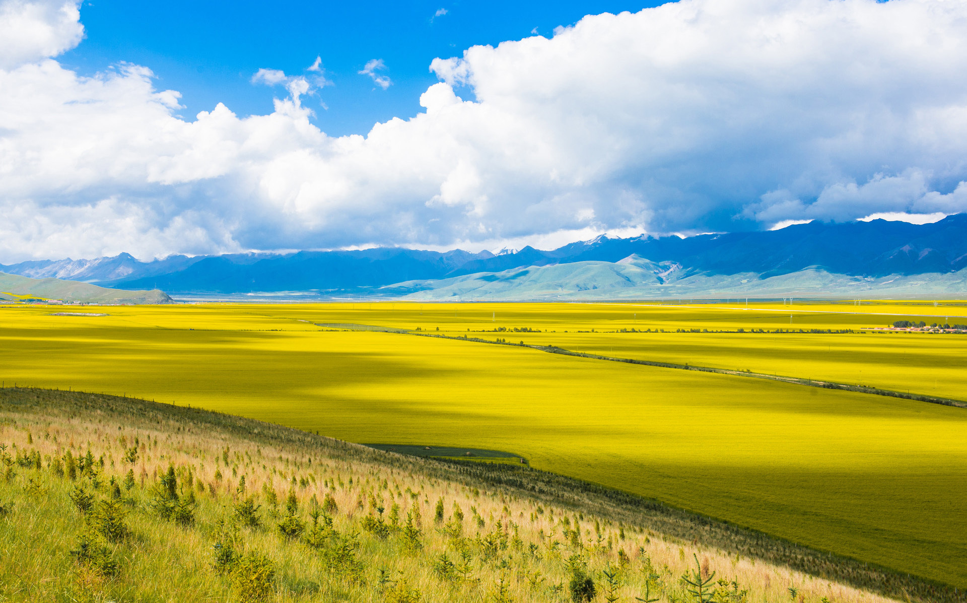昼夜温差大 昼夜温差大