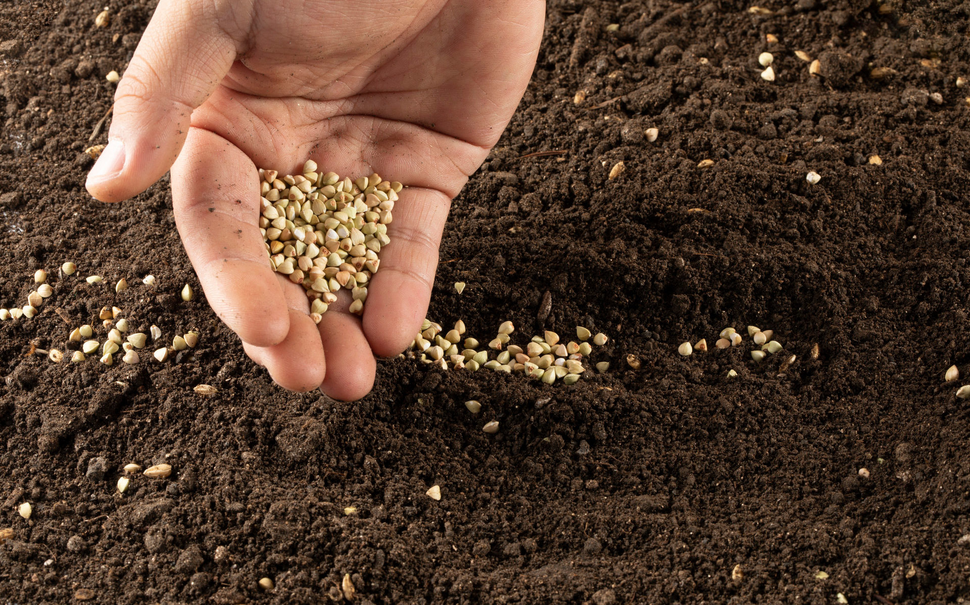 精挑原材 精挑原材